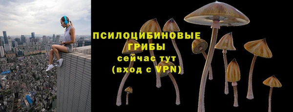 гидропоника Усмань