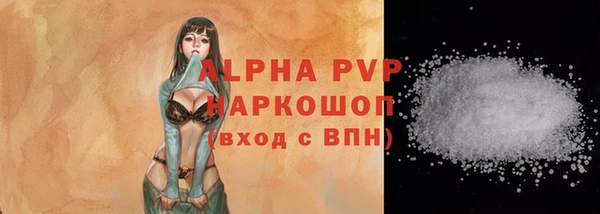 винт Пересвет