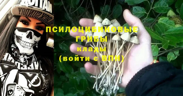 винт Пересвет