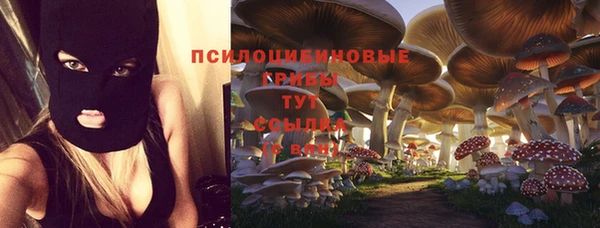 винт Осинники