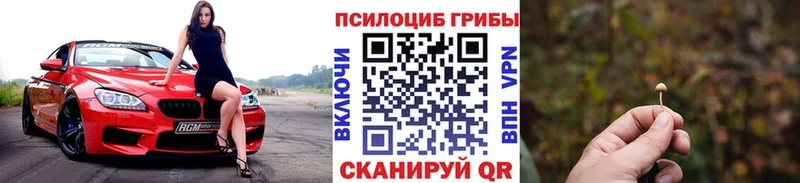 Галлюциногенные грибы Psilocybe  omg как войти  Ардатов 