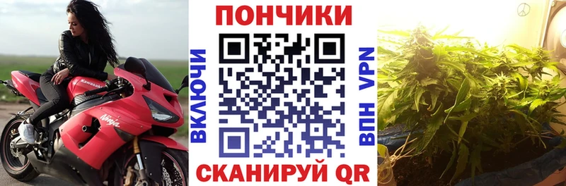 Шишки марихуана тримм  купить   ссылка на мегу ТОР  Ардатов 